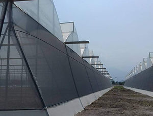 WhatsApp Image 2021-07-09 at 3.02.13 PM.jpeg