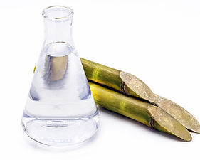 shutterstock_2059744499_edited.jpg
