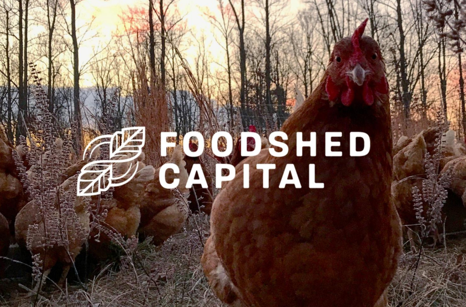 Esther Manor Farm, FarmtoTable Dinner featured in Foodshed Capital