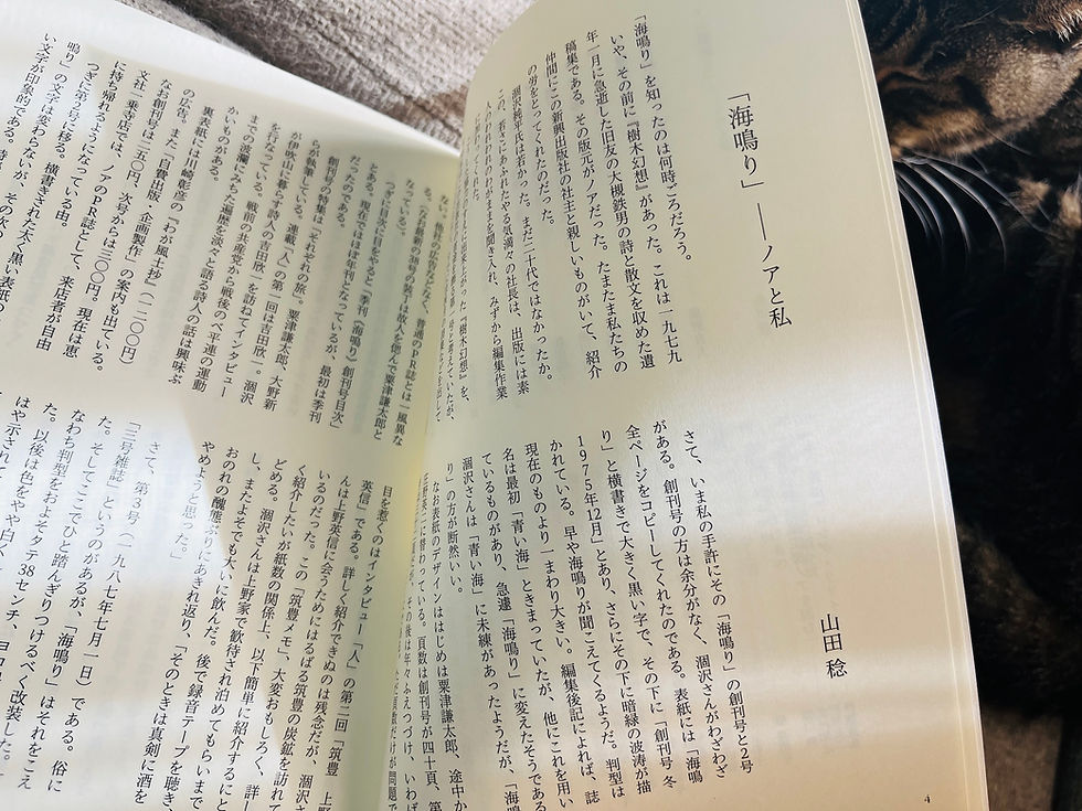 サムネイル： ノアの50年　編集工房ノア50周年記念冊子