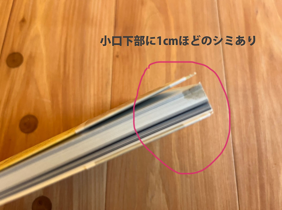 サムネイル： 世界によってみられた夢