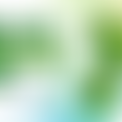 Dấu chân Carbon là gì — infographic The Seed of Green Future
