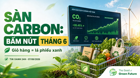Sàn carbon Việt Nam thí điểm tháng 6 - Tin Xanh 24H 07/06/2026