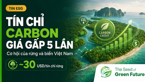 Tín chỉ carbon chất lượng cao: cơ hội của rừng và biển Việt Nam