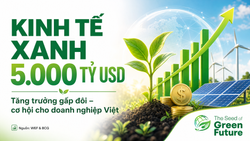 Kinh tế xanh toàn cầu vượt 5.000 tỷ USD — infographic The Seed of Green Future