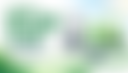 Thumbnail bài Net Zero là gì — The Seed of Green Future