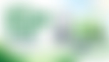 Thumbnail bài Net Zero là gì — The Seed of Green Future