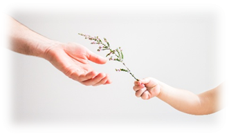 plant als geschenk van de Moeder