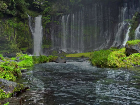 10 oefeningen met natuurachtergrond