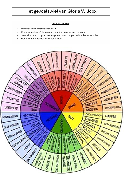 Gevoelswiel Gloria Willcox - breng je gevoel en communicatie op één lijn