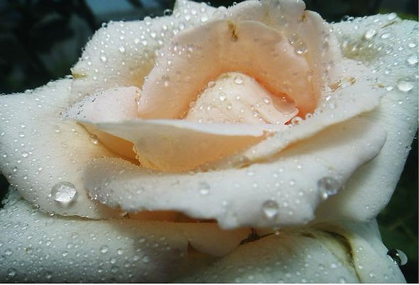 WhatsApp Image 2026-03-01 at 12.15.16.jpeg