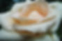 WhatsApp Image 2026-03-01 at 12.15.16.jpeg