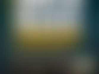 All Aboard for a Musical Time Machine with Shane Peters and the Men in Black in Port Macquarie | Port AdVenture Cruises