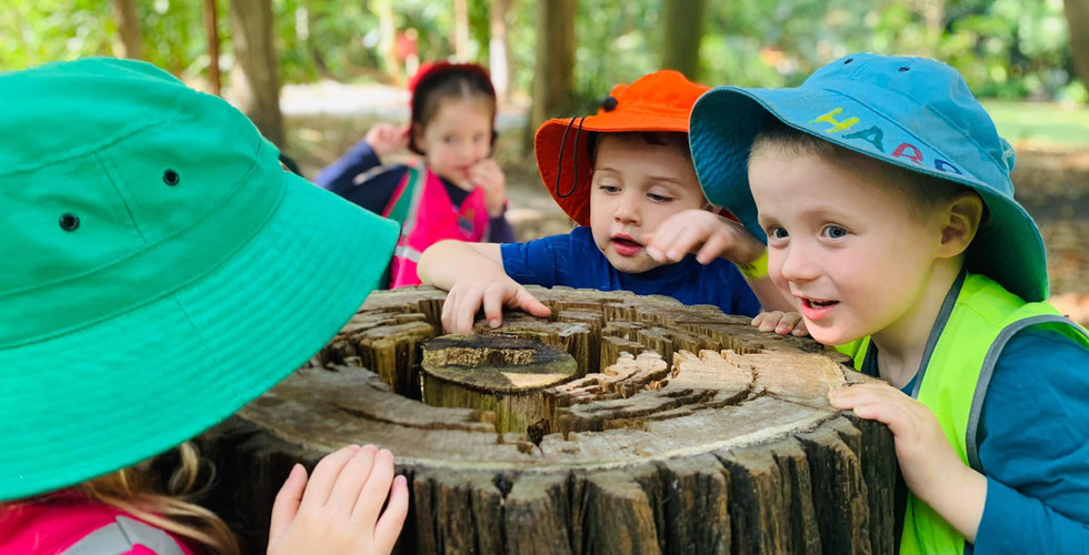 Beach and Bush Kindy at TG's Child Care Urangan | TG´s Child Care | Brilliant-Online