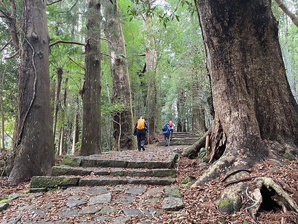 Diamonzaka Slope 3.jpeg