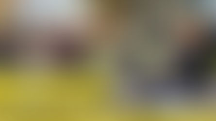 West Cobar Metals Limited (ASX: WC1) - The Salazar REE Project - High Grade & a JORC Resource.