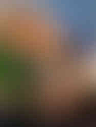 Planting their own food at TG's Child Care | TG´s Child Care | Brilliant-Online