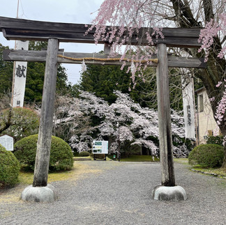 Hongu Kumano Kodo | Home Comforts Hiking