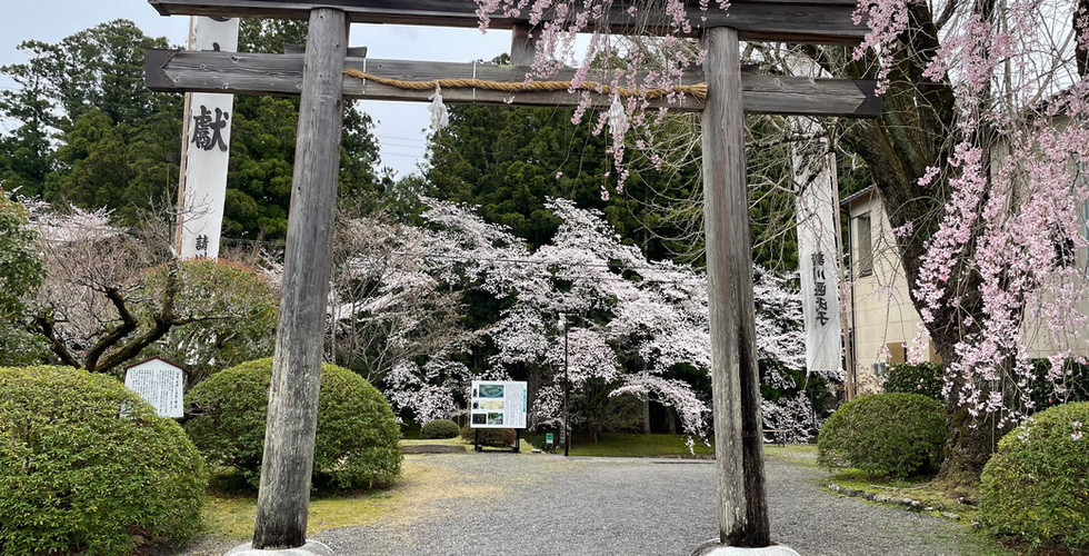 Hongu | Home Comforts Hiking