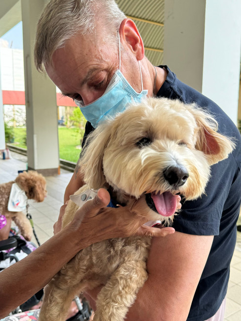 Animal-Assisted Interactions Singapore (AAISG) | Brilliant Online Australia Singapore UK | Brilliant Online