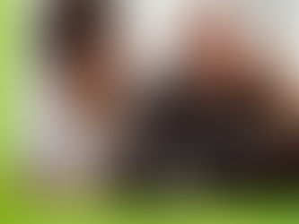 Panoptic Vision Newsletter August 2025