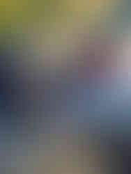 Helping out at TG's Child Care gardens | TG´s Child Care | Brilliant-Online