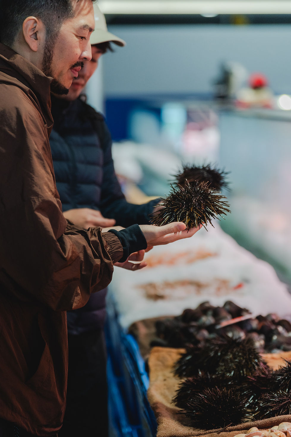 Tasmanian sea urchin | Mensho Tokyo Sydney | Brilliant Online Digital PR | Australia Singapore UK Europe