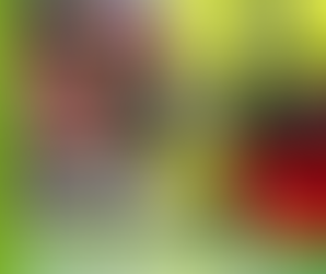 Panoptic Vision Newsletter July 2025 | Panoptic Vision