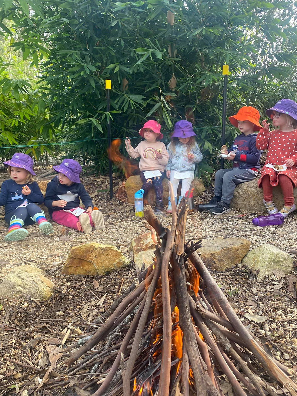 tg's riverbreeze toddlers around a campfire