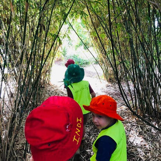 tg's urangan children on a bush kindy