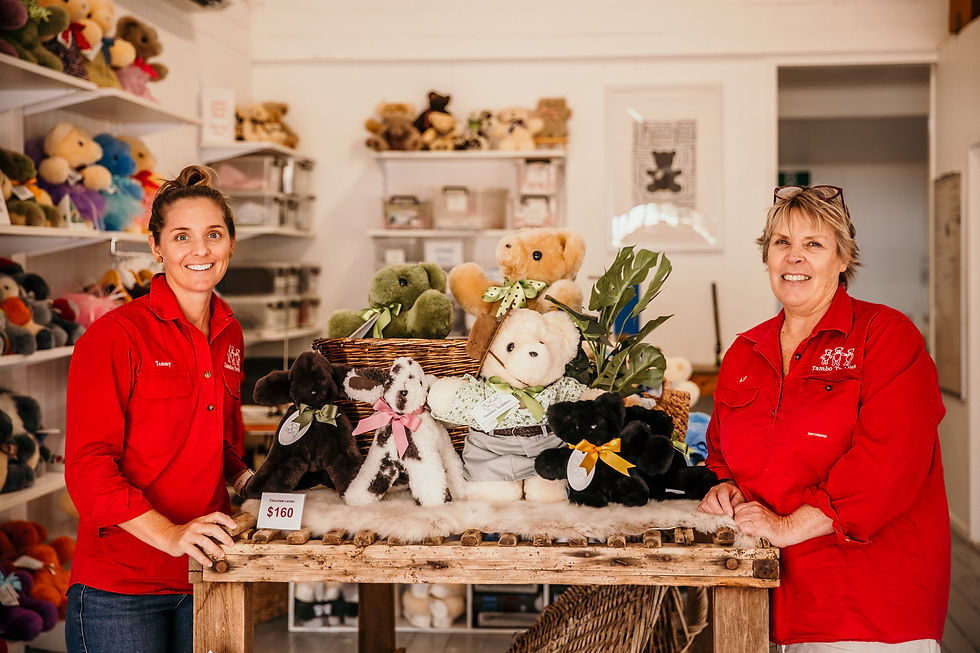 Tammy Johnson and Alison Shaw | Tambo Teddies | Brilliant-Online