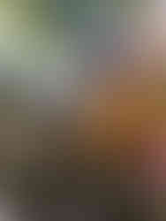 TG's gardens is where playing is learning for life | TG´s Child Care | Brilliant-Online