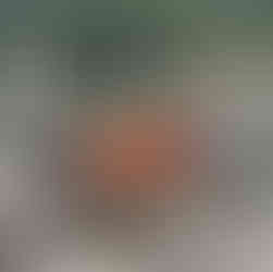 Traditional riverboat journey | Home Comforts Hiking