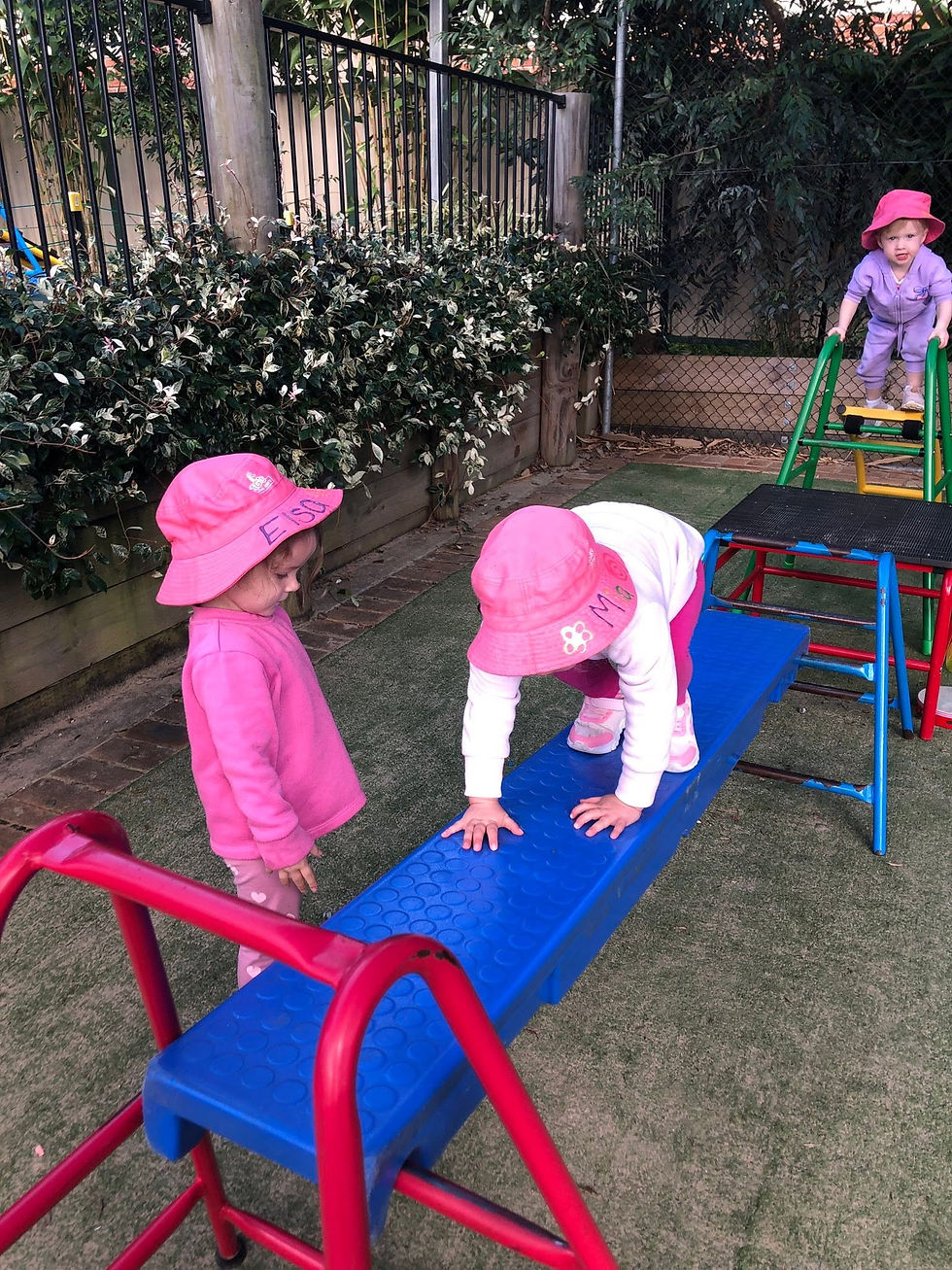 Children playing outdoor gym | TG's Child Care