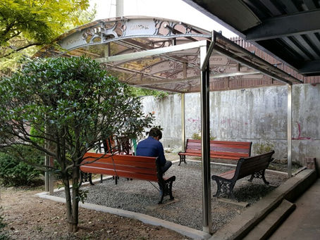 Elevate Your Outdoor Spaces with Canofix Arch-Type Canopies