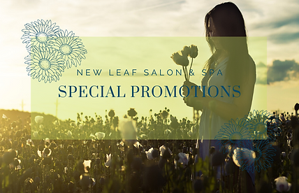 Home Northborough Ma New Leaf Salon Spa New leaf salon & spa owner donna williams and her team, opened the doors to their premier salon and spa in northborough, ma in october 2003. northborough ma new leaf salon spa