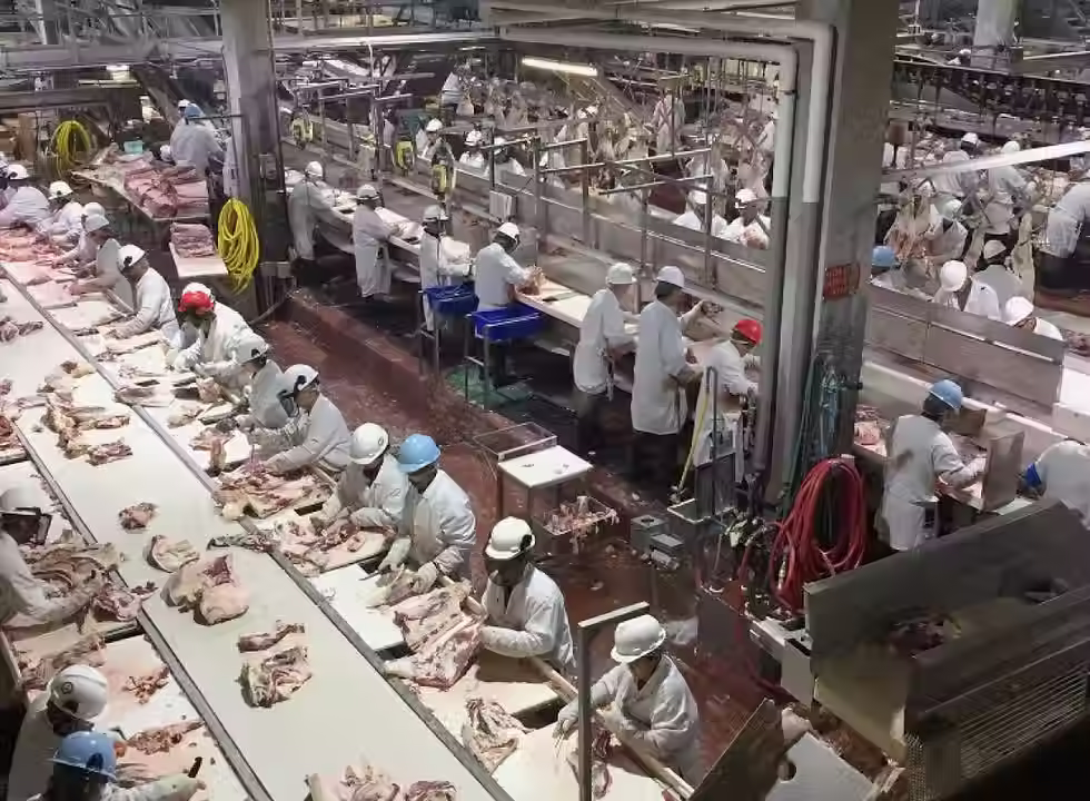 Your food being processed!