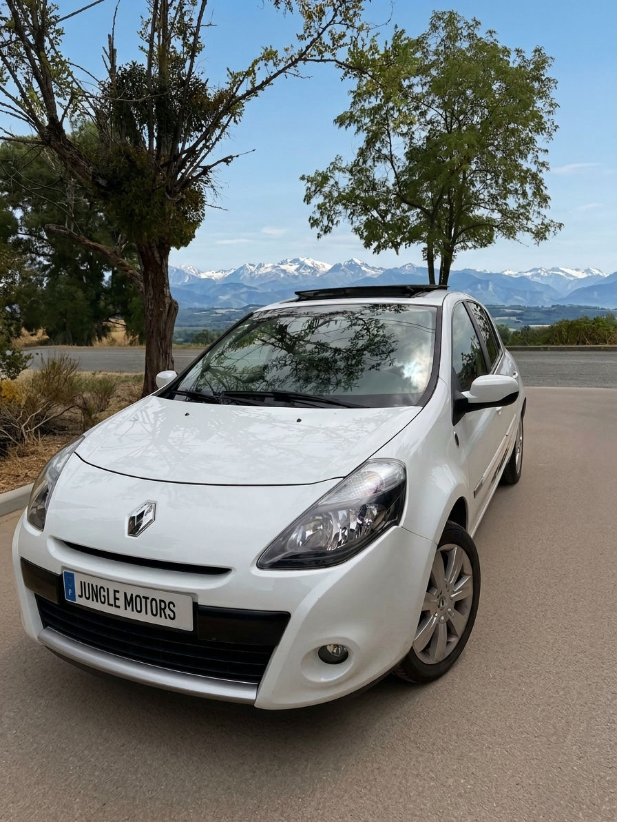 Renault CLIO 3