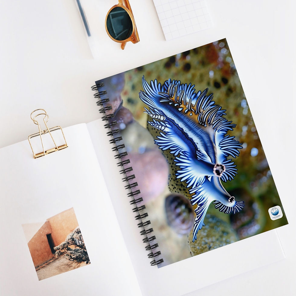 Thumbnail: Crystal Branch of the Blue - Spiral Notebook - Ruled Line