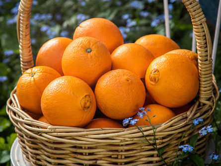 Oranges for your Blues