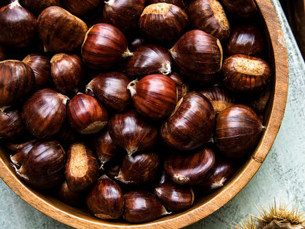 Mountain Chestnuts