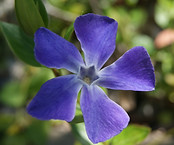 DSC01259.JPG