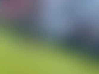 Real Salt Lake Shuts Out Portland for First Clean Sheet of 2026
