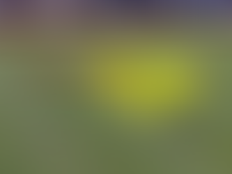 Breaking down what Paulo Díaz adds to Atlanta United