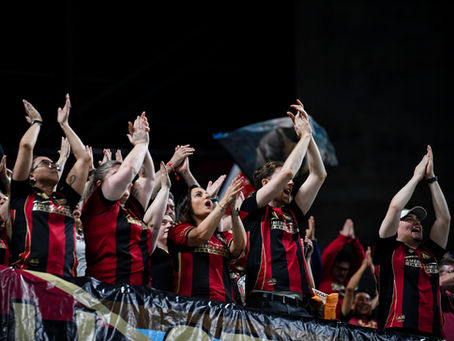 fans standing and clapping and cheering