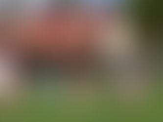 VfL gewinnt Vorbereitungsspiel