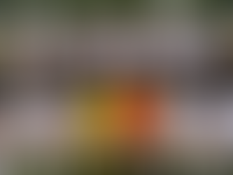 VfL hat den TuSpo Grebenstein zu Gast