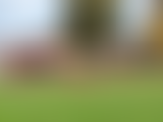 Presseberichte vom Sonntag