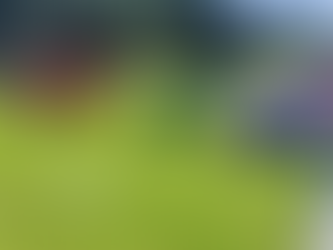 Kinderfestival in Walburg