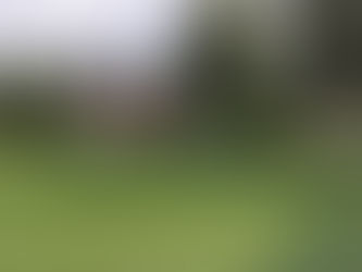 Mitgliederversammlungen und Arbeitseinsatz